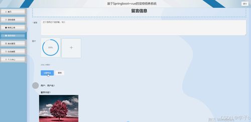 springboot vue寵物領養系統 計算機畢業設計